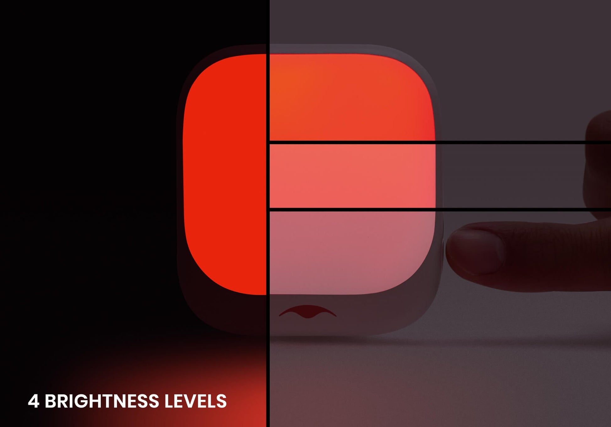 PRO Sleep Recharge Bundle image 13